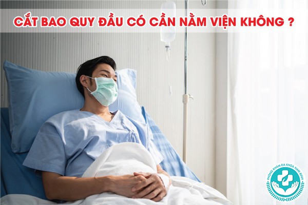 cắt bao quy đầu có cần nằm viện không