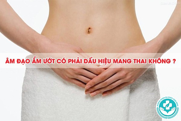 âm đạo ẩm ướt có phải dấu hiệu mang thai