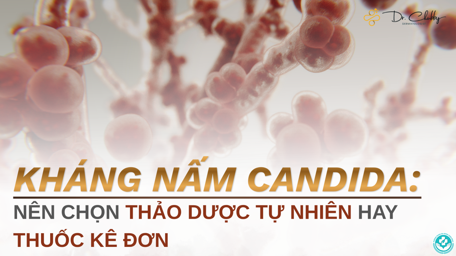 Ăn gì để tiêu diệt nấm Candida Ăn gì để tiêu diệt nấm Candida