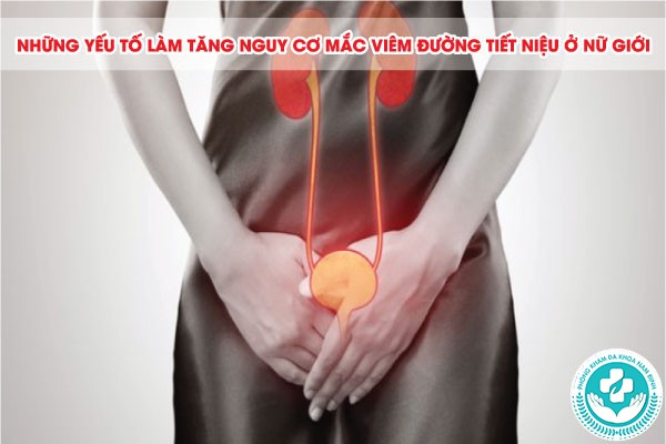 bệnh viêm đường tiết niệu ở nữ giới