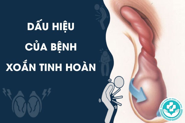 bệnh xoắn tinh hoàn