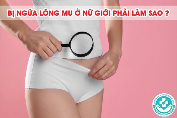 bị ngứa lông mu ở nữ giới