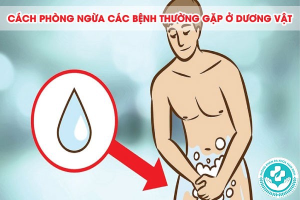 các bệnh thường gặp ở dương vật
