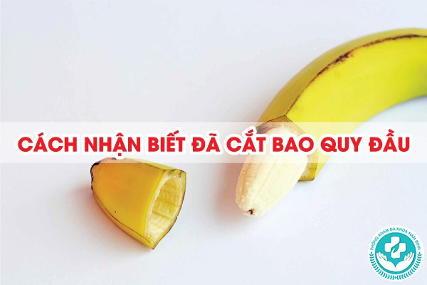 cách nhận biết đã cắt bao quy đầu