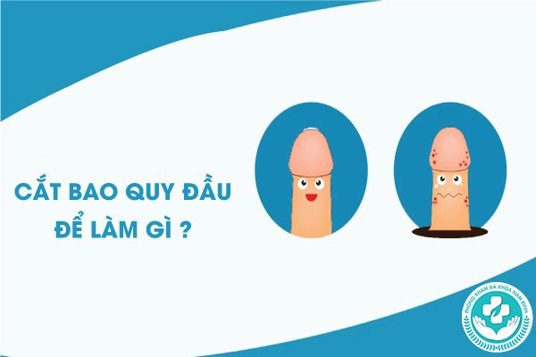 cắt bao quy đầu để làm gì