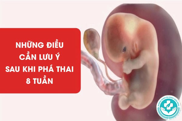 chi phí phá thai 8 tuần