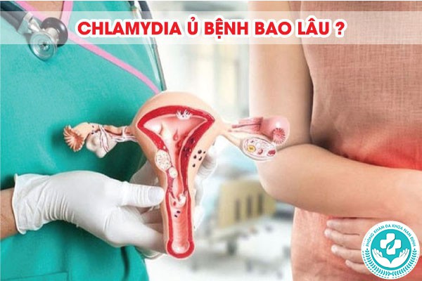 Chlamydia ủ bệnh bao lâu