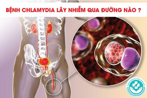 Chlamydia ủ bệnh bao lâu
