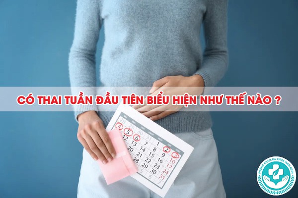 có thai tuần đầu tiên biểu hiện như thế nào