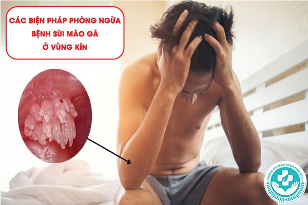 dấu hiệu bị sùi mào gà ở vùng kín