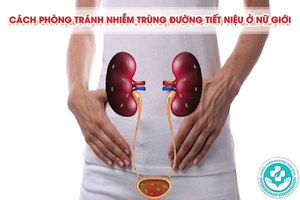 Dấu hiệu nhiễm trùng đường tiết niệu ở nữ
