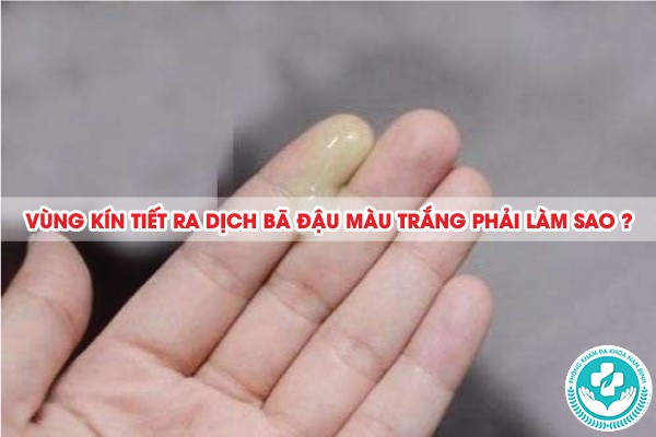 dịch bã đậu màu trắng