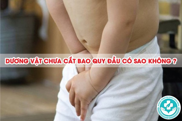 dương vật chưa cắt bao quy đầu