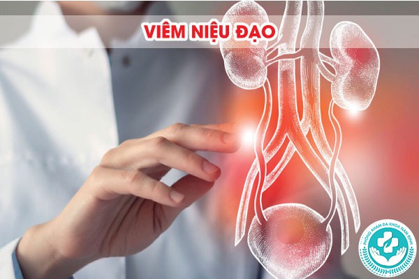 hình ảnh viêm nhiễm nam khoa