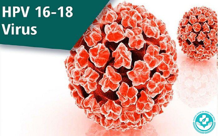 HPV type 16 và 18 nguy hiểm thế nào HPV type 16 và 18 nguy hiểm thế nào