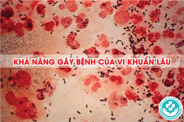 khả năng gây bệnh của vi khuẩn lậu