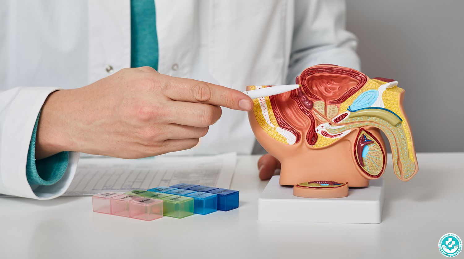 Khám bộ phận sinh dục nam ở khoa nào