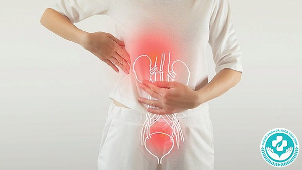 khám tiết niệu cho nữ ở đâu tại Thái Bình