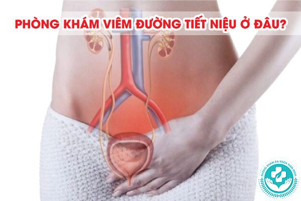 khám tiết niệu cho nữ ở đâu tại Thái Bình