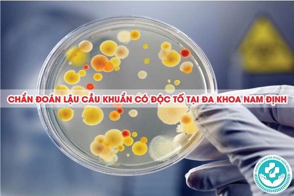 lậu cầu khuẩn có nội độc tố không