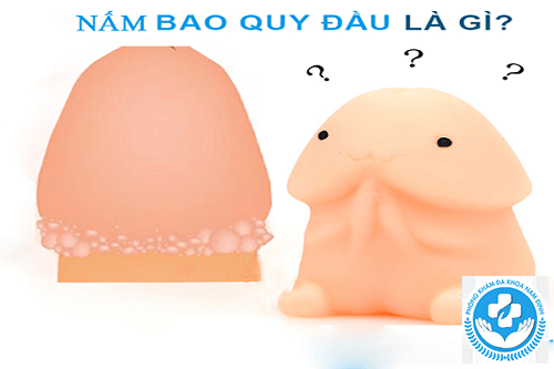 nấm bao quy đầu