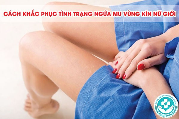 ngứa mu vùng kín nữ