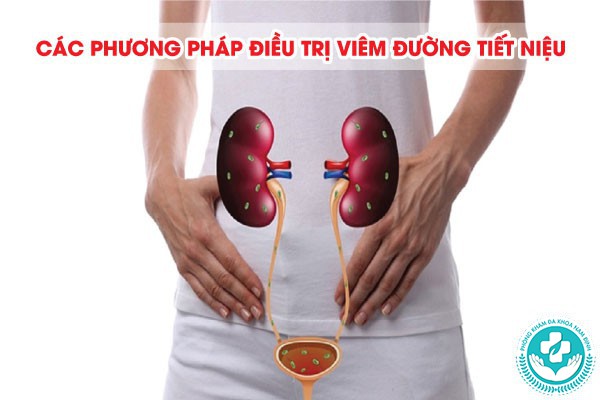 nguyên nhân gây viêm đường tiết niệu