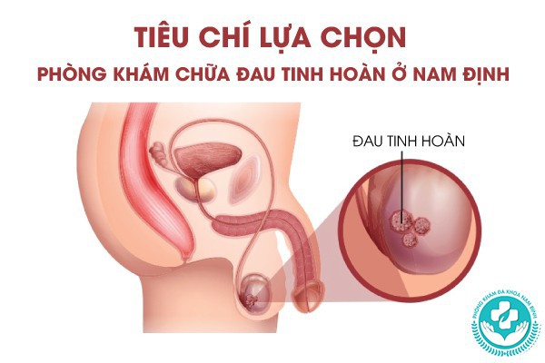 phòng khám chữa đau tinh hoàn ở nam đinh