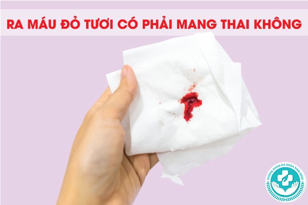 Ra máu đỏ tươi có phải mang thai không