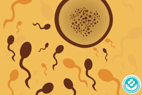 Tại sao tinh trùng màu vàng Tại sao tinh trùng màu vàng