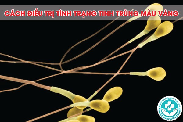 tinh trùng màu vàng