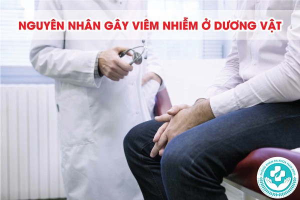 viêm nhiễm ở dương vật