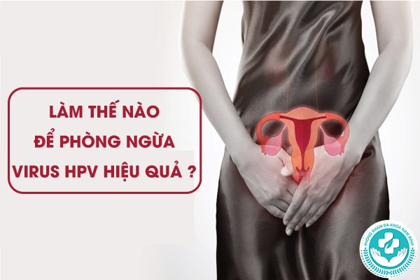 virus HPV là gì