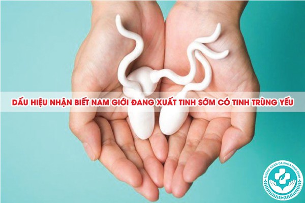 xuất tinh sớm tinh trùng có bị yếu không